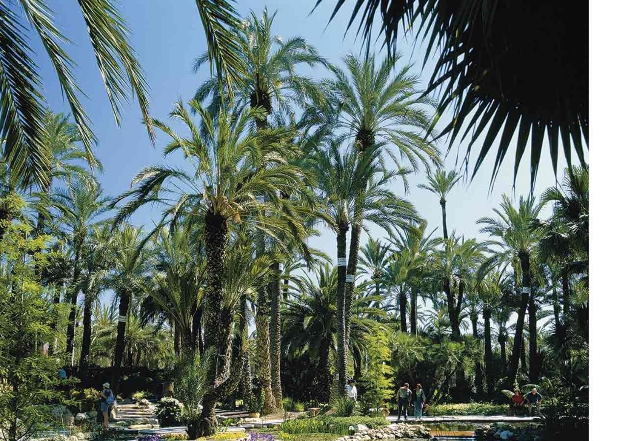 LUXURY New Loft CITY CENTRE&Castle, Alicante Exterior foto